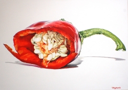Red Pepper Oil Painting
