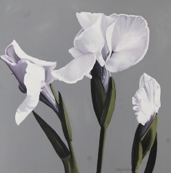 Three Iris Flowers Acrylic Painting