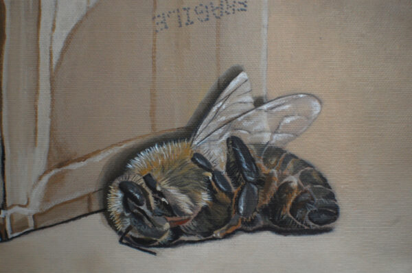Surreal Bee Canvas Print