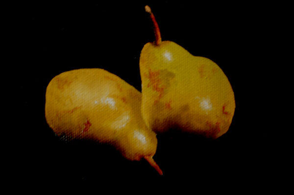 Pears Original Painting
