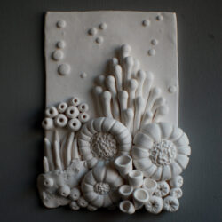 3D Coral Reef Wall Plaque