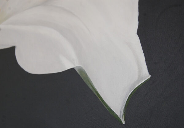 Arum Lily Flower Painting