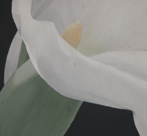 Arum Lily Flower Painting