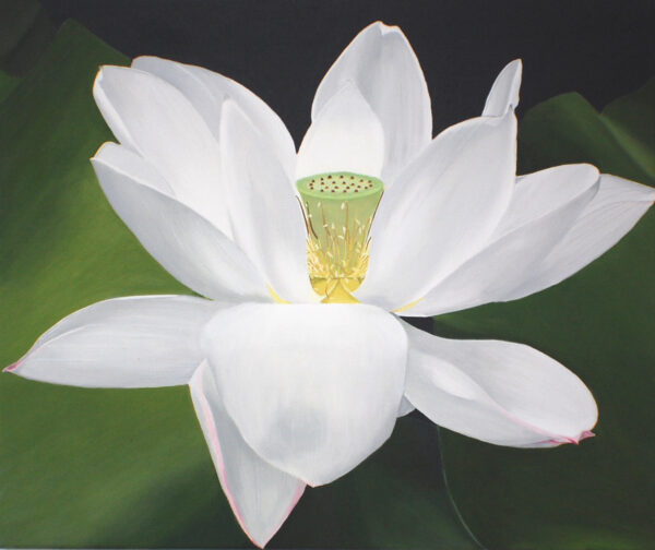 White Lotus Flower Painting