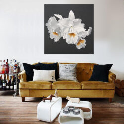 Frilled_Orchid_5808c26e8bce3.jpg